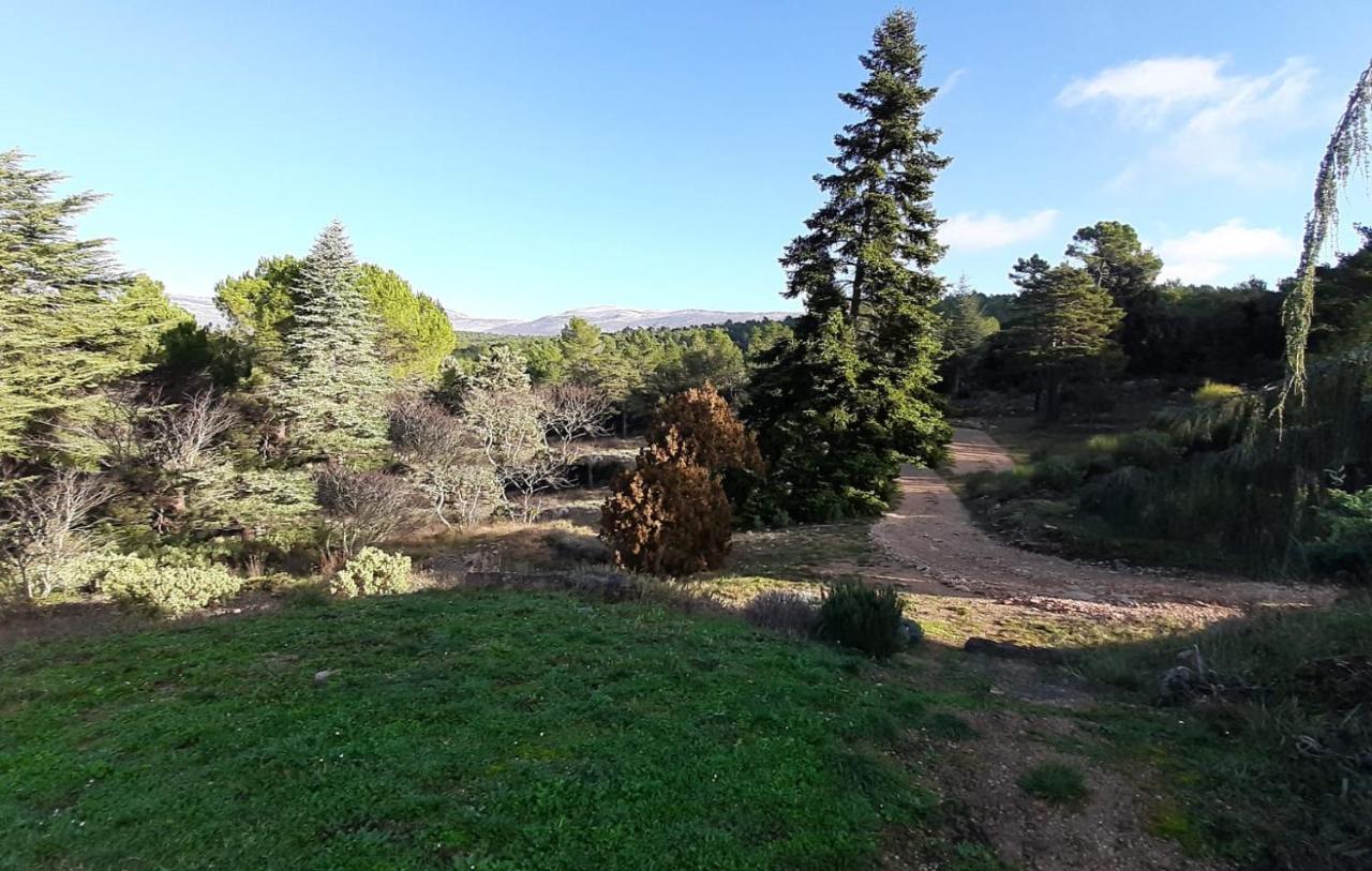 Domaine De La Xavoliere Hotel Saint-Cezaire-sur-Siagne ภายนอก รูปภาพ