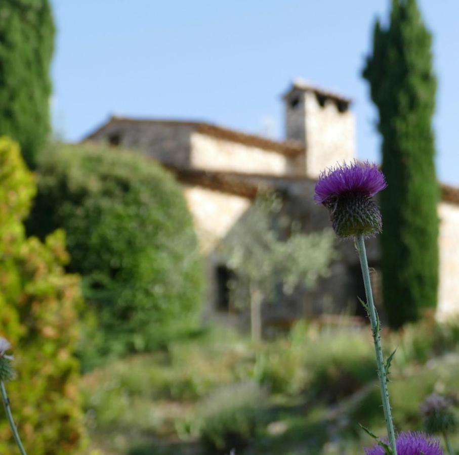 Domaine De La Xavoliere Hotel Saint-Cezaire-sur-Siagne ภายนอก รูปภาพ